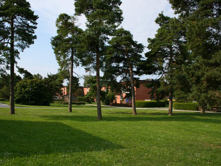Bostad Smissgatan Gotland