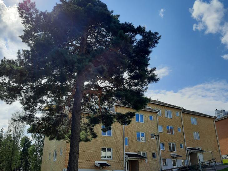 Bostad Solbergsgatan Grums
