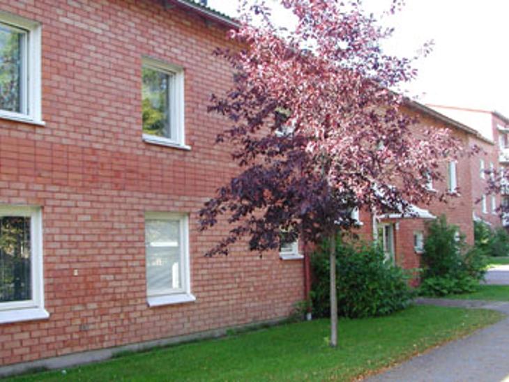 Bostad Södra Slevgränd Umeå