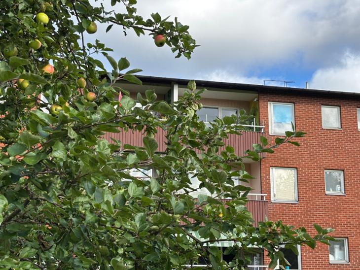 Våmmedalsvägen - Mölndal