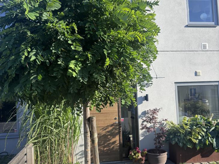 Bostad Mellquists gata Malmö