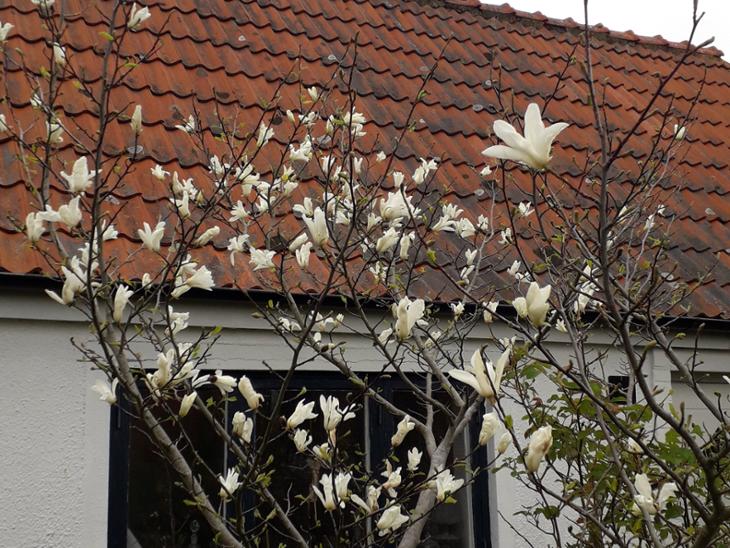 Bostad Gislövsvägen Simrishamn