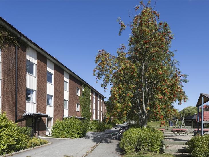 Kvartsvägen 5B - Carlshem, Umeå