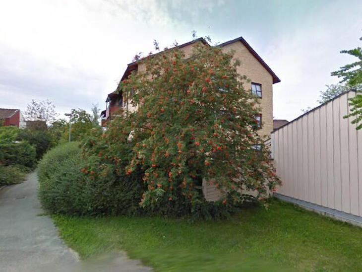 Plöjaregatan - Lambohov, Linköping