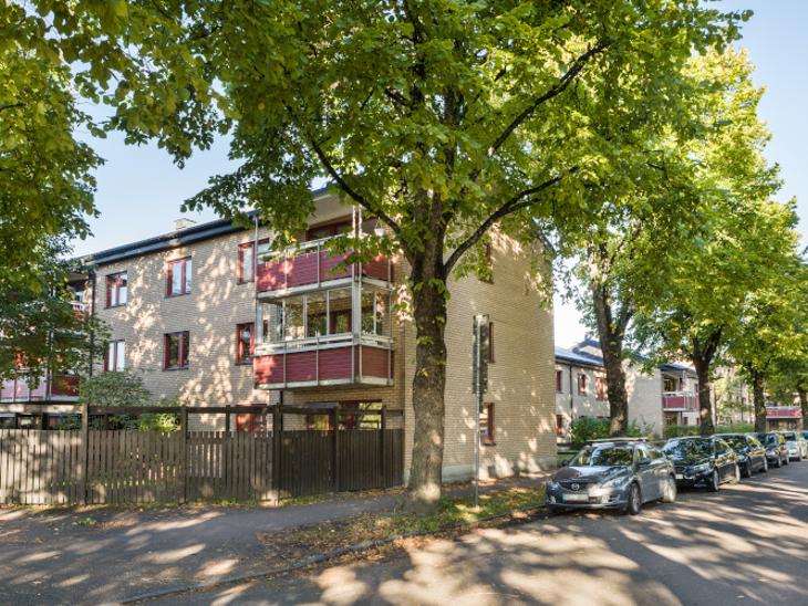Timmermansgatan - Svartbäcken, Uppsala