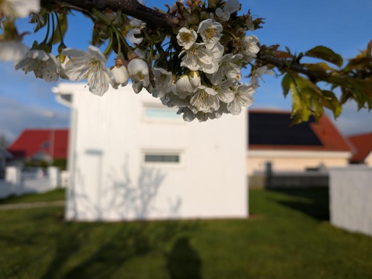Bostad Axvägen Trelleborg