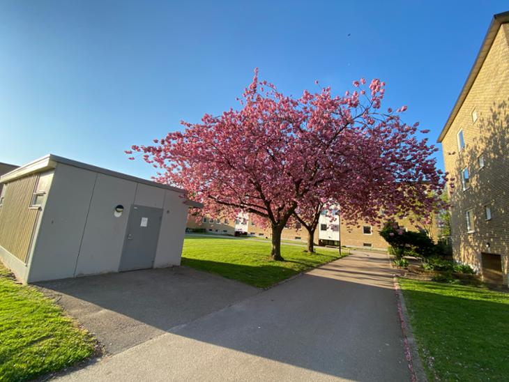 Bostad Fredentorpsgatan Hässleholm