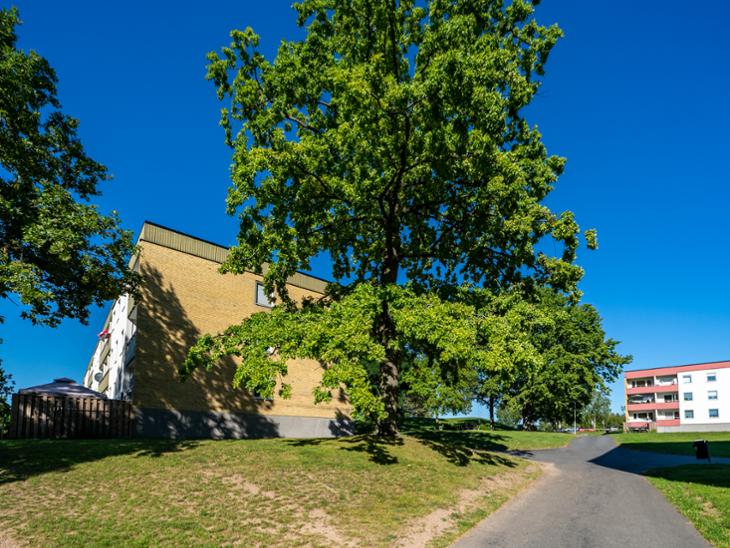 Bostad Agneshögsgatan Motala