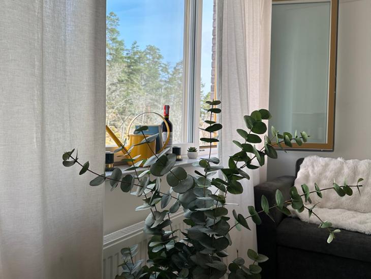 Bostad Professorsslingan Stockholm