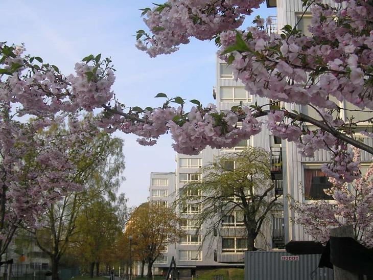 Bostad Norrby tvärgata Borås