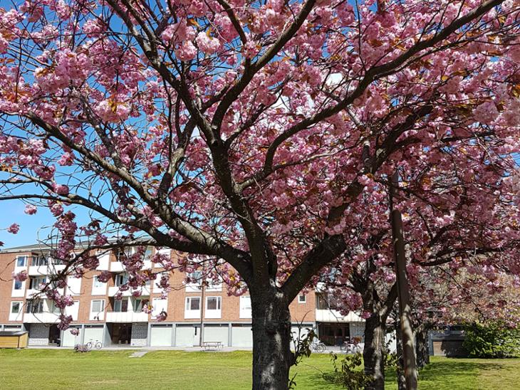 Bostad Sjögatan 18 Oxelösund
