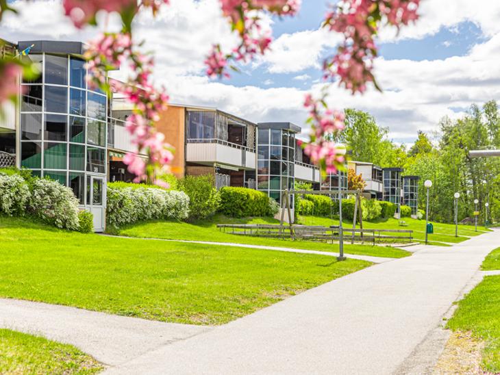 Bostad Skyttegatan 23A Eskilstuna