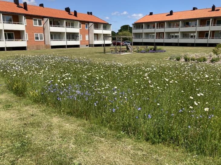 Bostad Herrestadsvägen Simrishamn