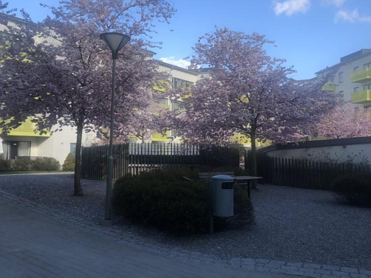 Bostad Nybohovsbacken Stockholm