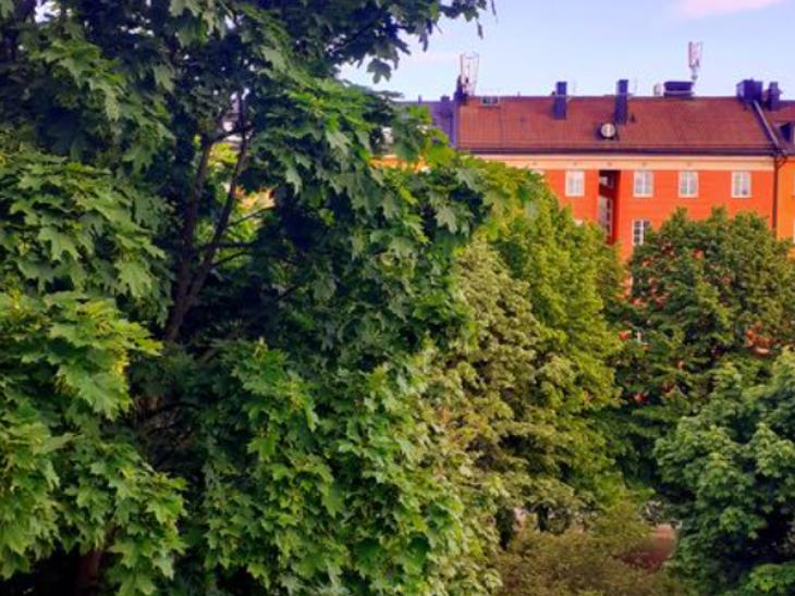 Bostad Åsögatan Stockholm