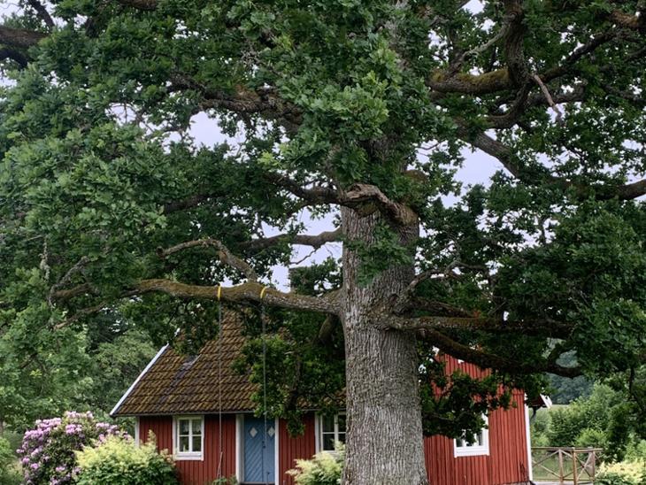 Bostad Bolmstad laggaretorp Ljungby