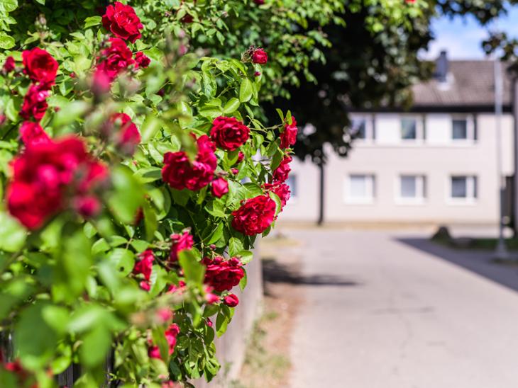 Bostad Väpnaregatan 8 Linköping