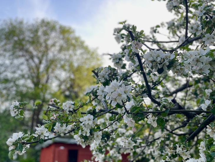 Bostad Spångavägen Stockholm