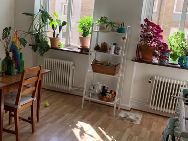 Bostad Sofielundsvägen Malmö