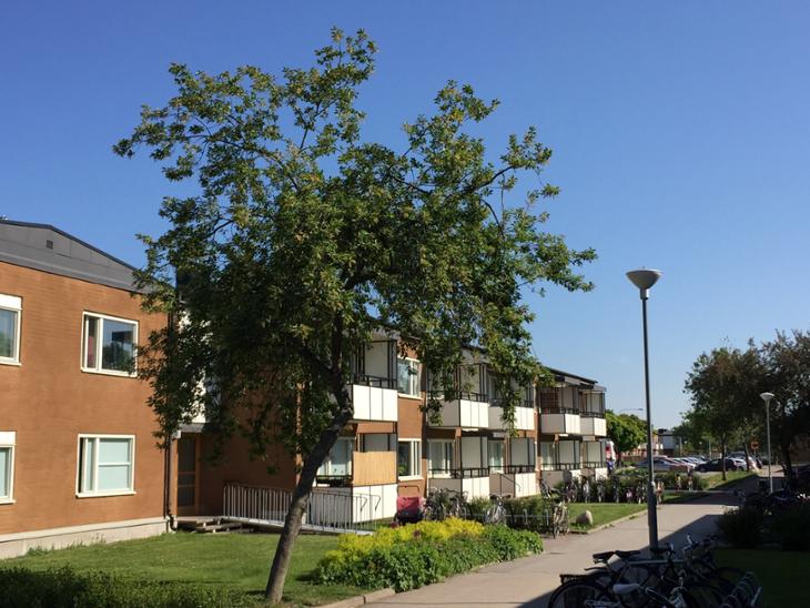 Bostad Frödingsgatan Uppsala
