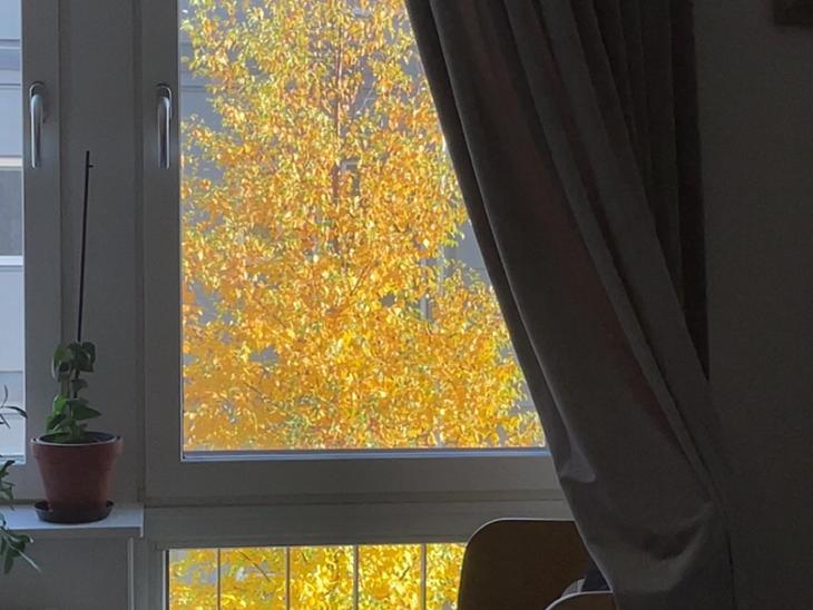 Bostad Geogränd Luleå
