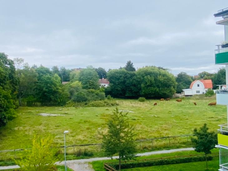 Bostad Solskensgatan Uppsala