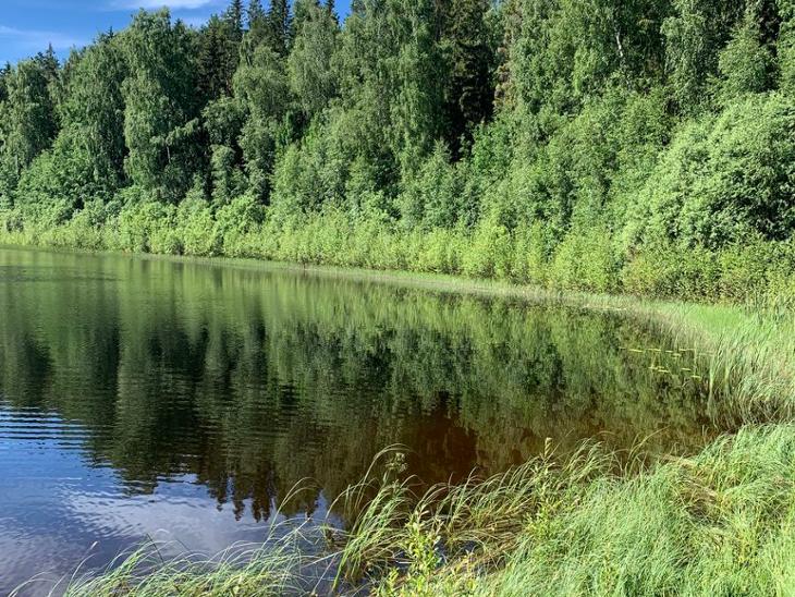 Bostad Ringvägen Hedemora