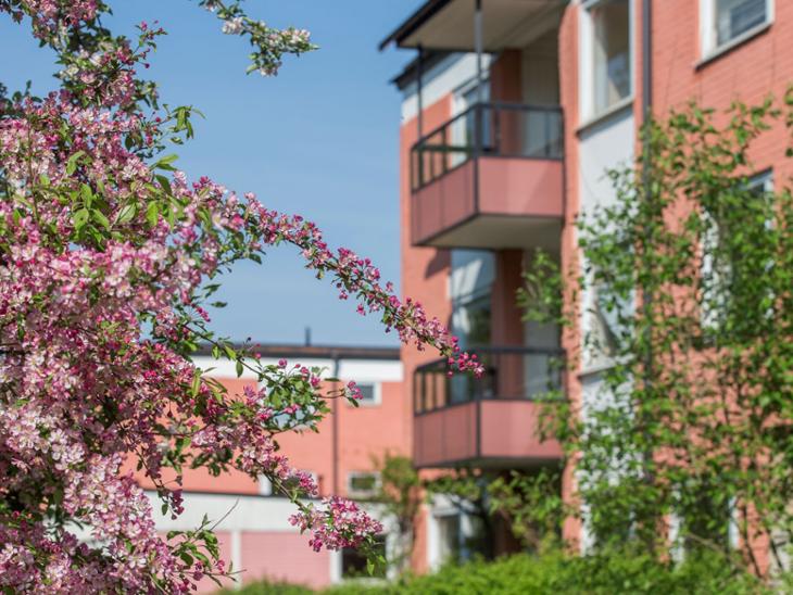 Bostad Albert Engströmsgatan Uppsala