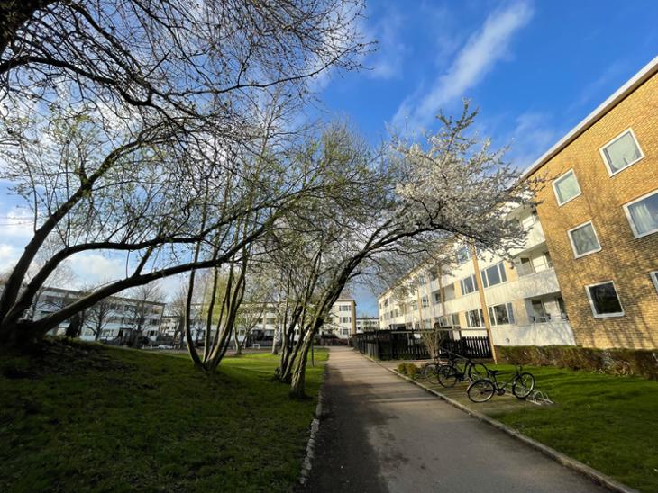 Bostad Röingegatan 22B Hässleholm