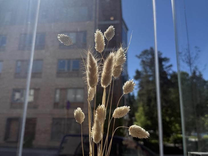 Bostad Vintergaloppsgatan Täby