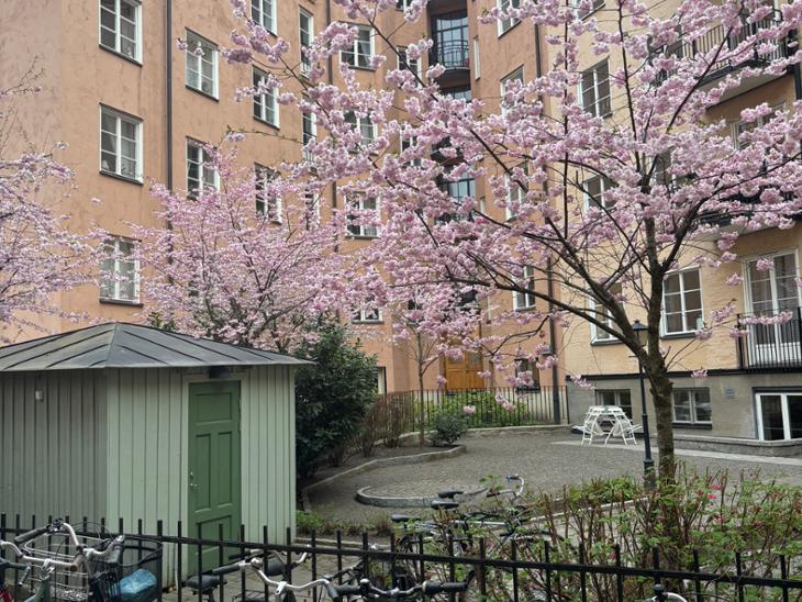 Bostad Alströmergatan Stockholm