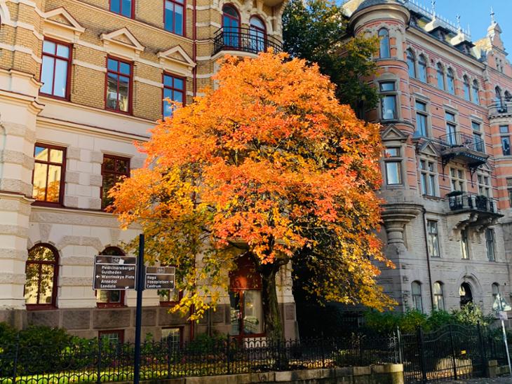Bostad Viktoriagatan Göteborg