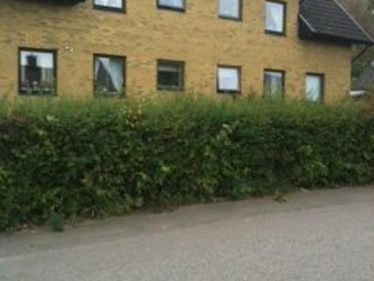 Bostad Storgatan Bjuv