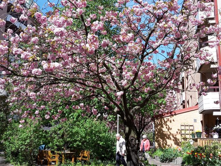 Bostad Landsvägsgatan Göteborg