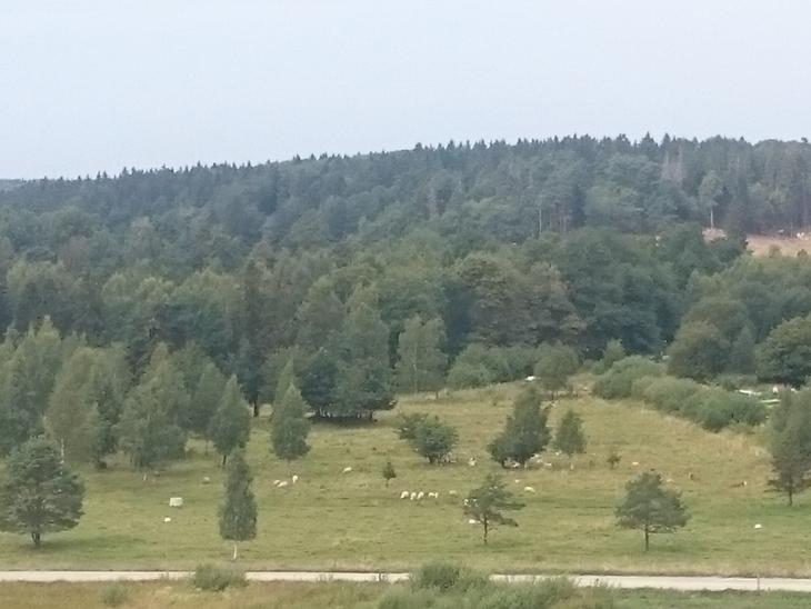 Bostad Föllingebacken Stockholm