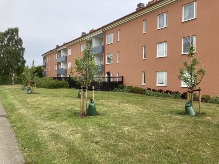 Bostad Bruksgatan Simrishamn