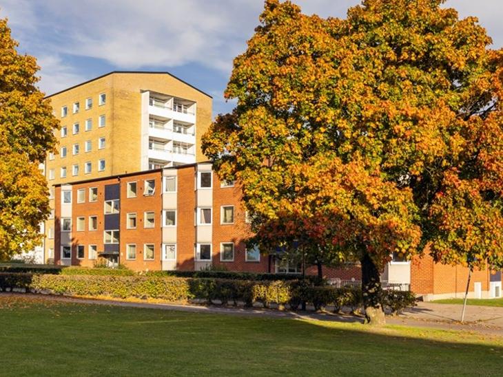 Bostad Docentgatan Malmö