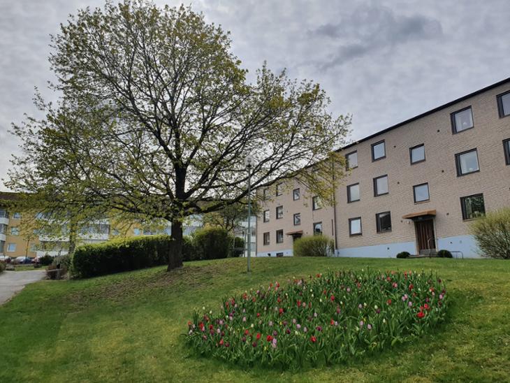 Bostad Norra Sjöbogatan 32 Borås